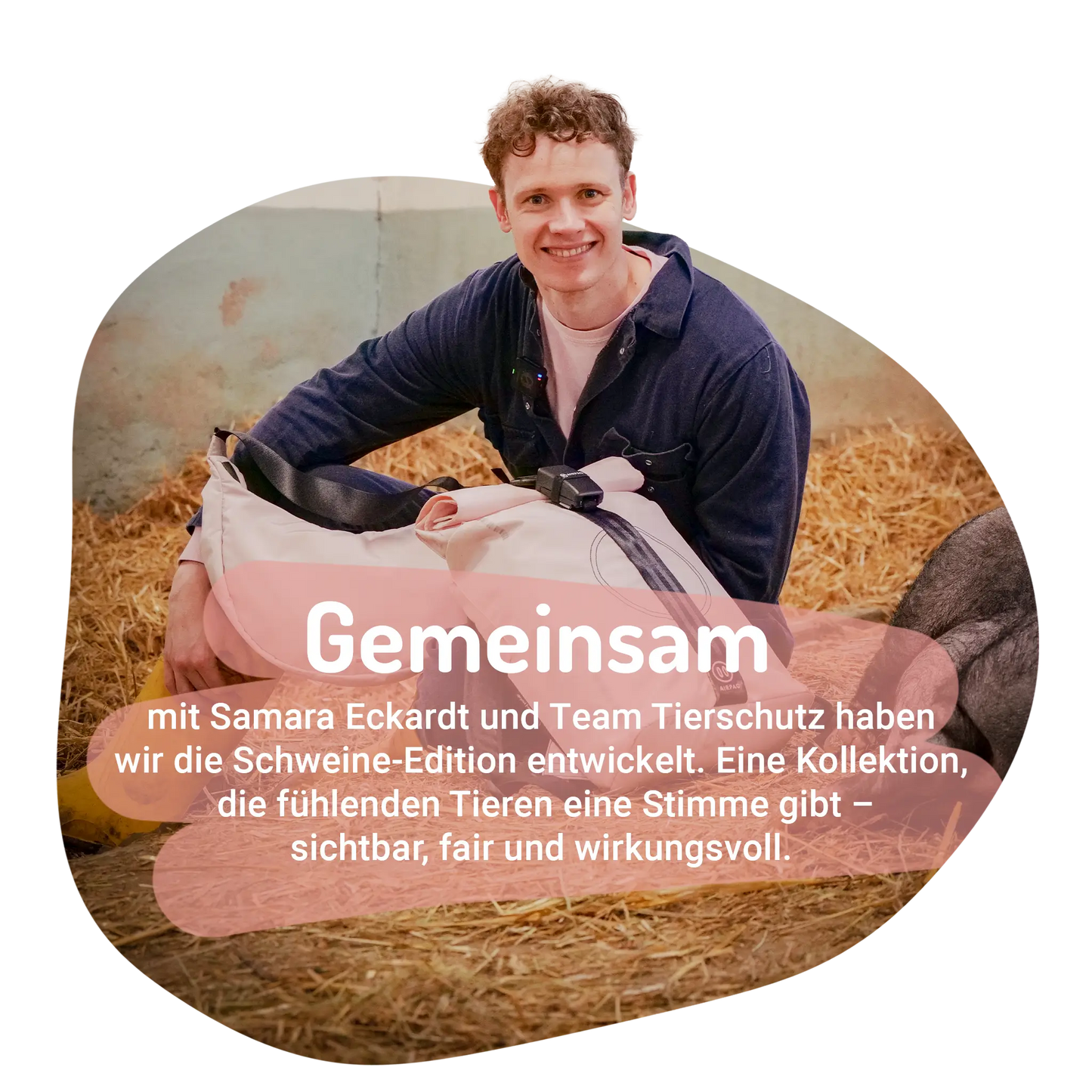 Ferkel Bundle