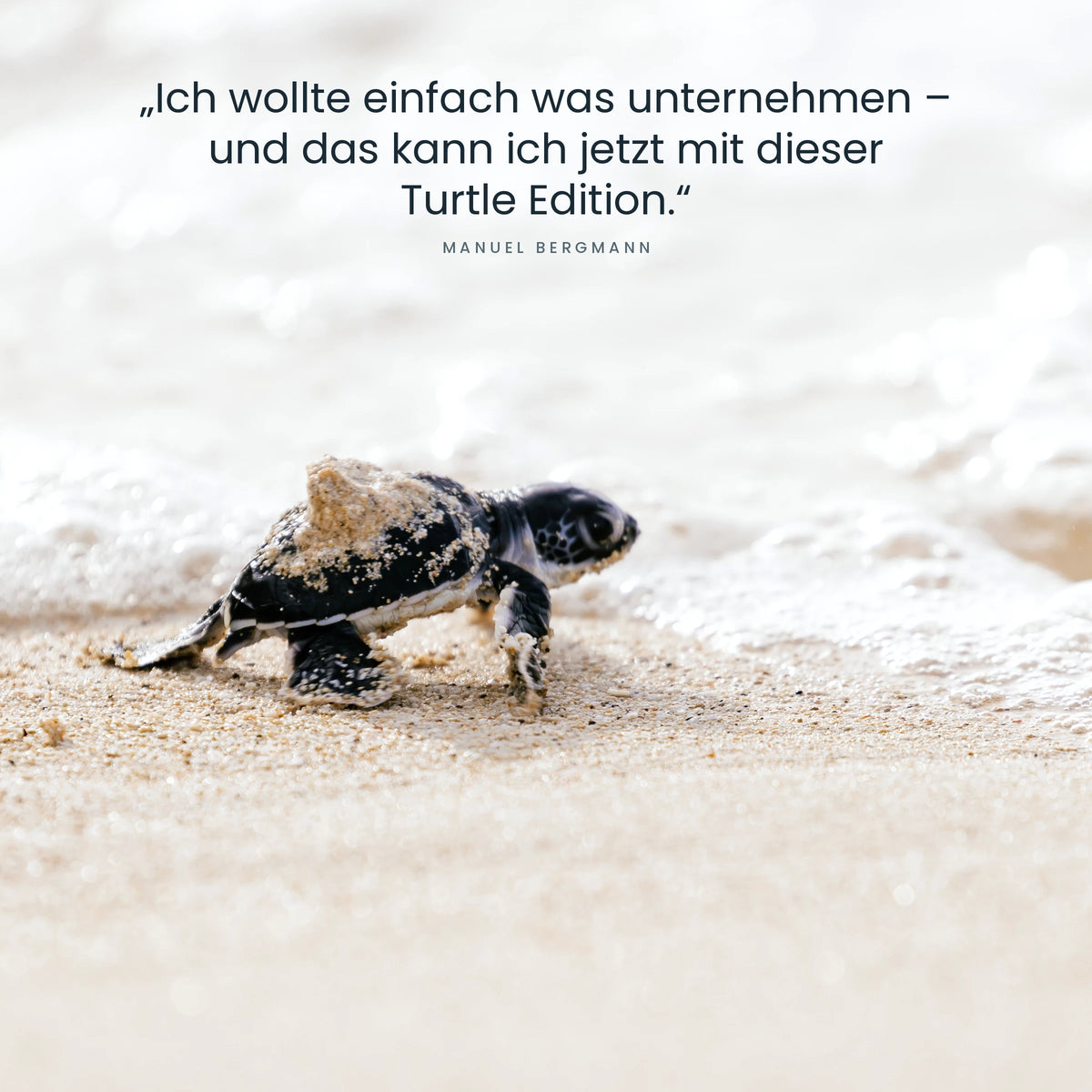 Turtle Tote-Baq